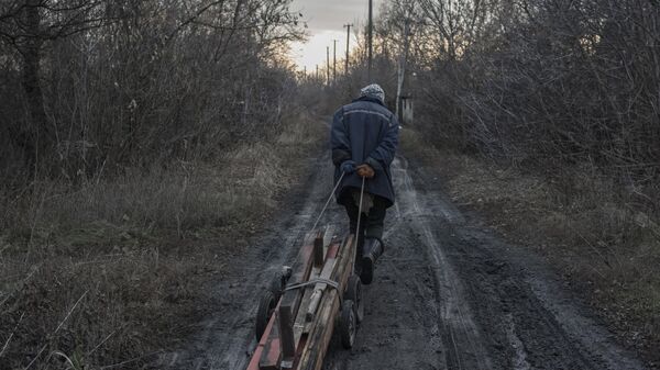 Un residente local en un camino rural cerca de la ciudad de Górlovka de la región de Donetsk - Sputnik Mundo