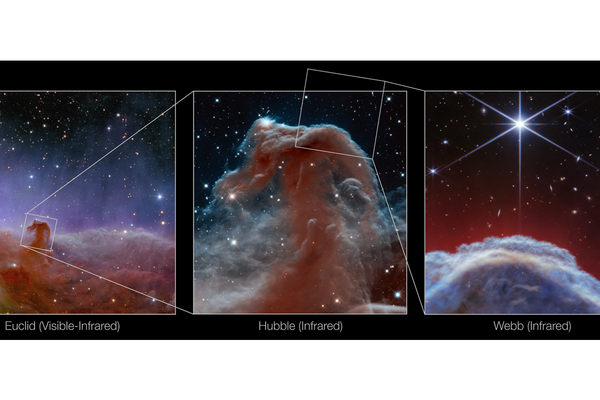 Imágenes de la nebulosa Cabeza de Caballo, captadas con los telescopios Euclid (izquierda), Hubble (centro) y James Webb (derecha) - Sputnik Mundo