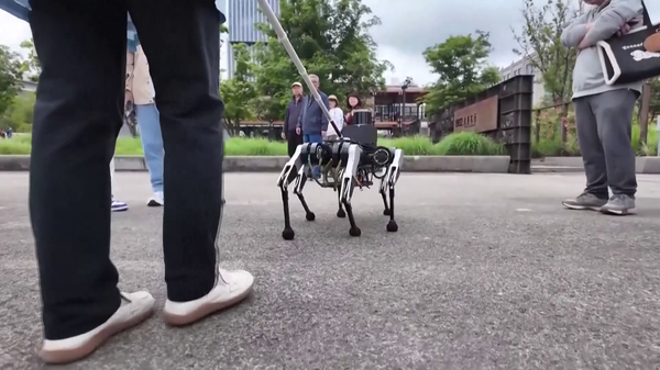 El perro robótico con el que China busca mejorar la movilidad de las personas con discapacidad visual - Sputnik Mundo