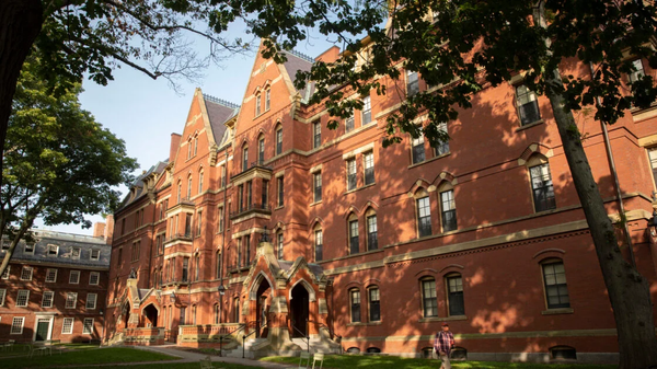 El campus de la Universidad de Harvard - Sputnik Mundo