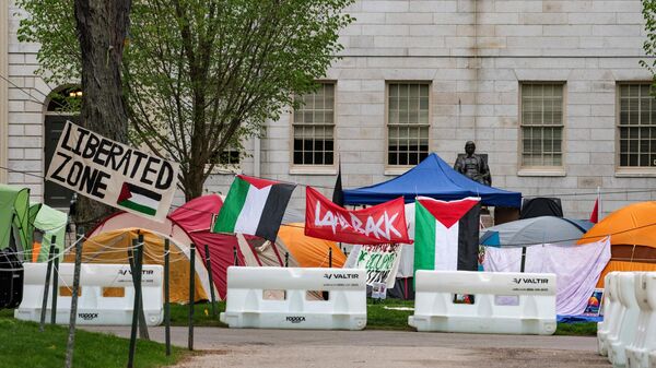 Una acampada pro-Palestina en la Universidad de Harvard  - Sputnik Mundo