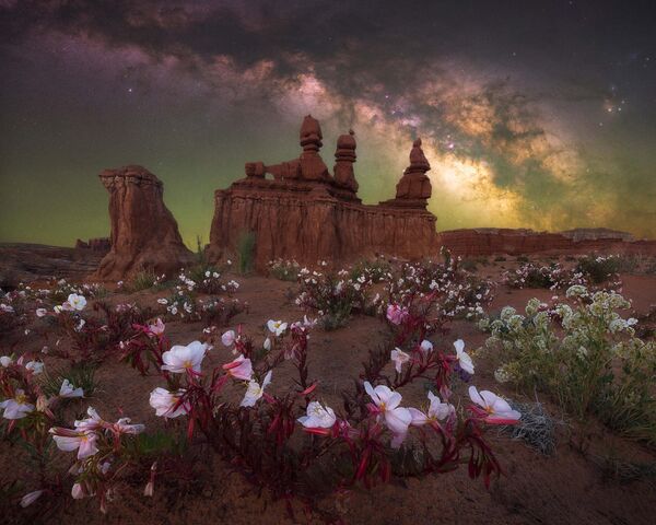 La foto Desert bloom (Florecimiento del Desierto), de Marcin Zajac, que captó esta imagen en el Parque Estatal Goblin Valley, en Utah.El parque, alejado de los grandes centros urbanos, tiene uno de los cielos más oscuros del país. - Sputnik Mundo