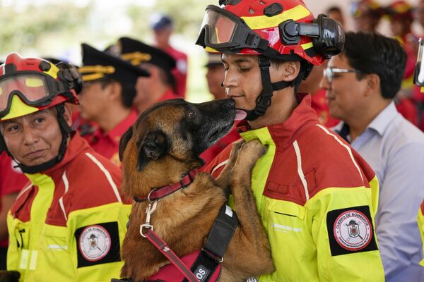 Un perro lame a su adiestrador durante una ceremonia de jubilación de perros de servicio de los bomberos en Quito, Ecuador. Los perros jubilados fueron adoptados por residentes locales. - Sputnik Mundo