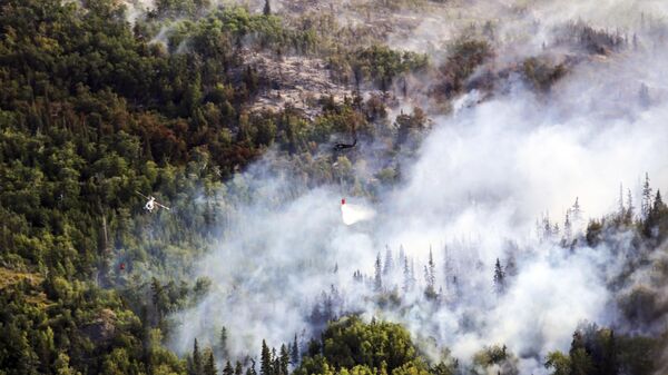Incendio zombi en la zona recreativa de McHugh Creek, Alaska, el 20 de julio 2016 - Sputnik Mundo
