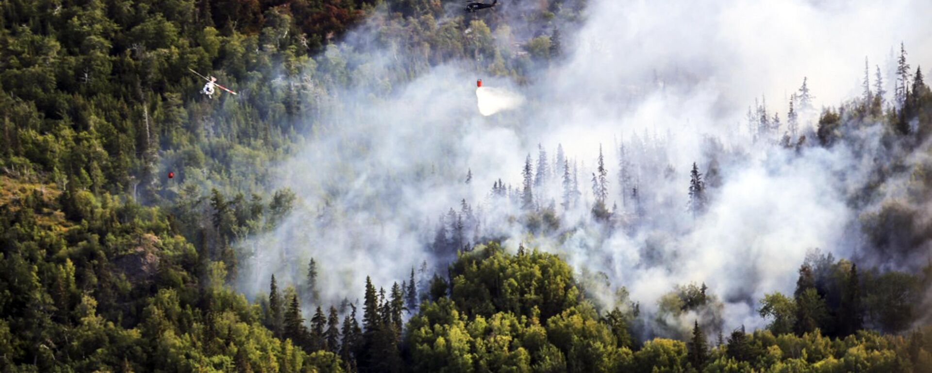 Incendio zombi en la zona recreativa de McHugh Creek, Alaska, el 20 de julio 2016 - Sputnik Mundo, 1920, 29.05.2024