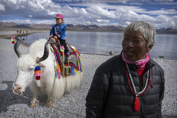 El Tíbet es una de las regiones más bellas del mundo, con una cultura e historia milenarias y una naturaleza no menos encantadora. La región tibetana es famosa por su majestuosidad montañosa, y alberga las montañas más altas del mundo, el Himalaya. Además de montañas, cuenta con fértiles valles, desiertos y masas de agua igualmente majestuosas.En la foto: un hombre tibetano se encuentra cerca de un joven turista que posa para las fotos sobre un yak blanco, en la orilla del lago en Namtso, en la Región Autónoma del Tíbet, al oeste de China. - Sputnik Mundo