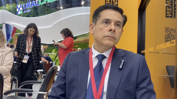 El presidente de la Comisión Económica y Financiera en la Asamblea Nacional nicaragüense, Wálmaro Gutiérrez - Sputnik Mundo