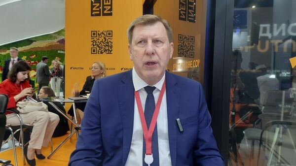  Vladímir Pádalko, el vicepresidente de la Cámara de Comercio e Industria de Rusia - Sputnik Mundo