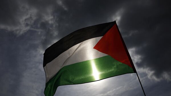 Bandera de Palestina - Sputnik Mundo