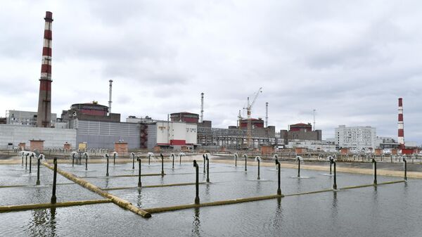 Central nuclear de Zaporozhie en la ciudad de Energodar - Sputnik Mundo