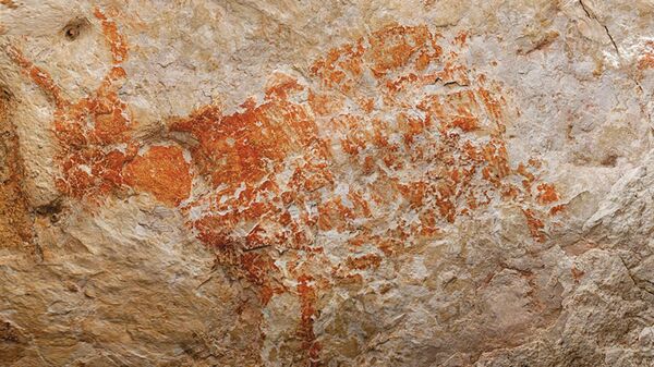 Изображение дикого быка бантенга, выполненное охрой, обнаруженное в пещере Лубанг Джериджи Салех, Восточный Калимантан, Борнео, Индонезия, датированное 40 тыс. лет назад - Sputnik Mundo