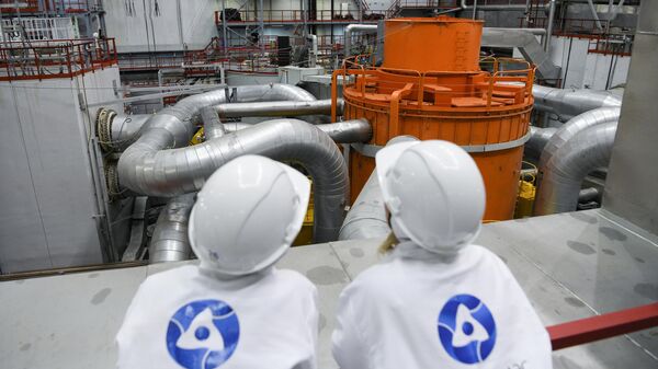 El cuarto reactor de neutrones rápidos BN-800 de la central nuclear rusa de Beloyarsk - Sputnik Mundo