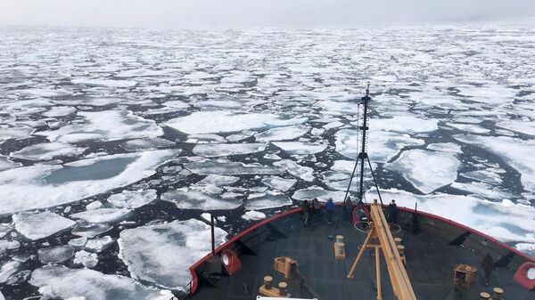 Un rompehielos en el Océano Ártico (archivo)  - Sputnik Mundo
