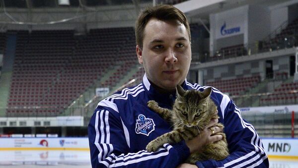 Un equipo de hockey apadrina al gato ladrón de Vladivostok - Sputnik Mundo