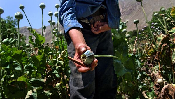 Rusia y China colaborarán para combatir el narcotráfico en Afganistán - Sputnik Mundo