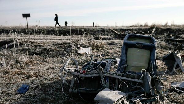 Men walk past the wreckage of MH17, a Malaysia Airlines Boeing 777 plane, at the site of the plane crash near the village of Hrabove (Grabovo) in Donetsk region, December 15, 2014 - Sputnik Mundo
