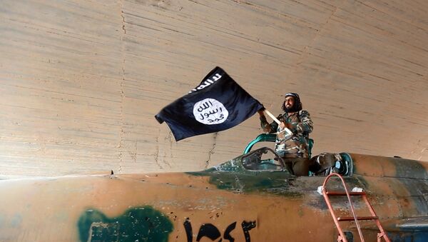 Fighter of the Islamic State group waving their flag from inside a captured government fighter jet following the battle for the Tabqa air base, in Raqqa, Syria - Sputnik Mundo