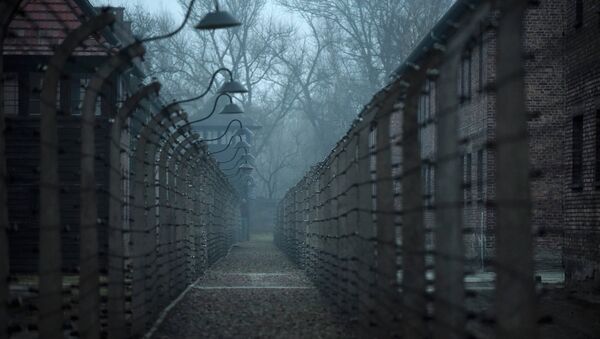 A general view of the former German Nazi concentration and extermination camp Auschwitz in Oswiecim - Sputnik Mundo