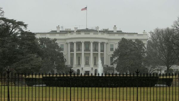 Вашингтон. Белый дом. Январь - Sputnik Mundo