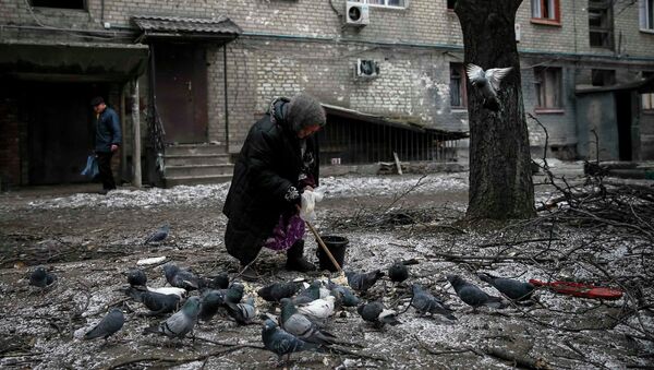 An elderly woman feeds pigeons near her damaged house in Debaltseve, eastern Ukraine, February 5, 2015 - Sputnik Mundo