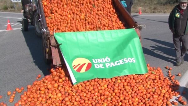 Agricultores españoles afectados por las sanciones contra Rusia tiran a la carretera las frutas podridas - Sputnik Mundo