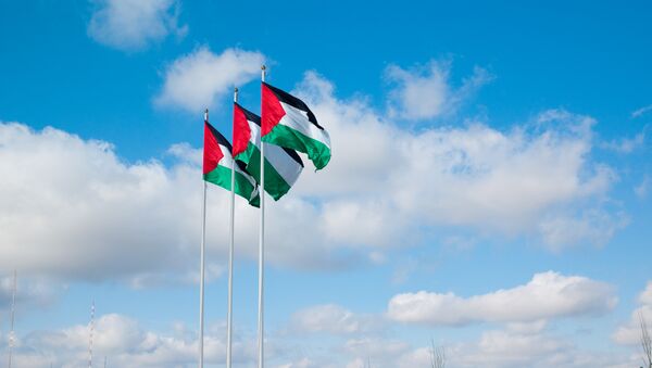 Banderas de la Autoridad Nacional Palestina (ANP) - Sputnik Mundo