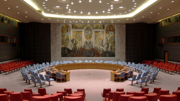 Consejo de Seguridad de las Naciones Unidas - Sputnik Mundo