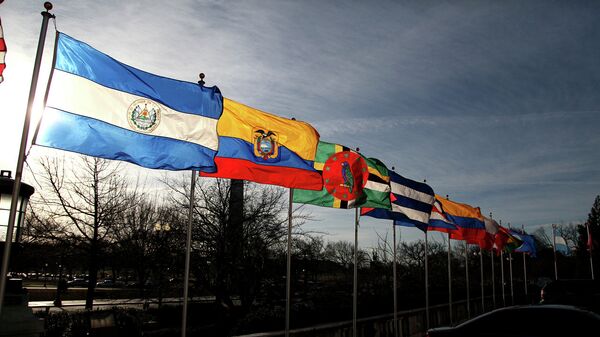 OEA busca ser reconocida como foro continental en 45ª Asamblea General - Sputnik Mundo