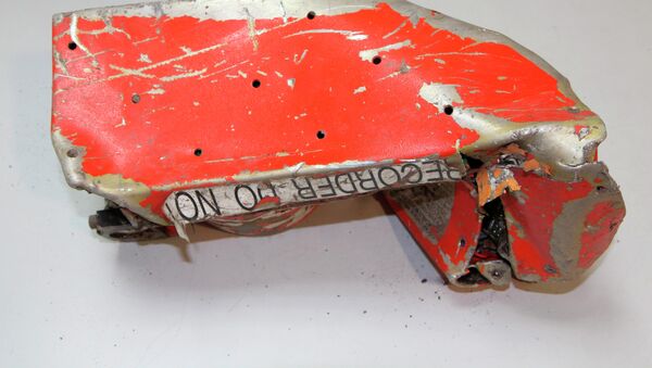 Una de las cajas negras del Airbus A320 accidentado en los Alpes - Sputnik Mundo
