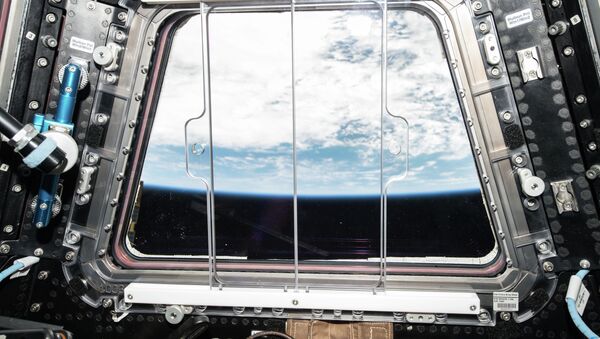 Vista de Tierra desde la cúpula de EEI - Sputnik Mundo