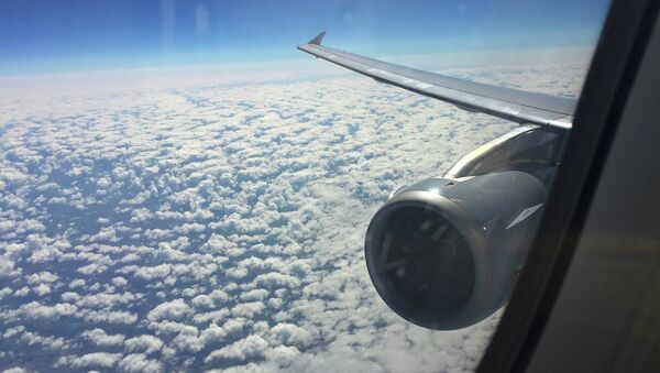 Vista por la ventana del Airbus A321 que operan vuelos de Germanwings - Sputnik Mundo