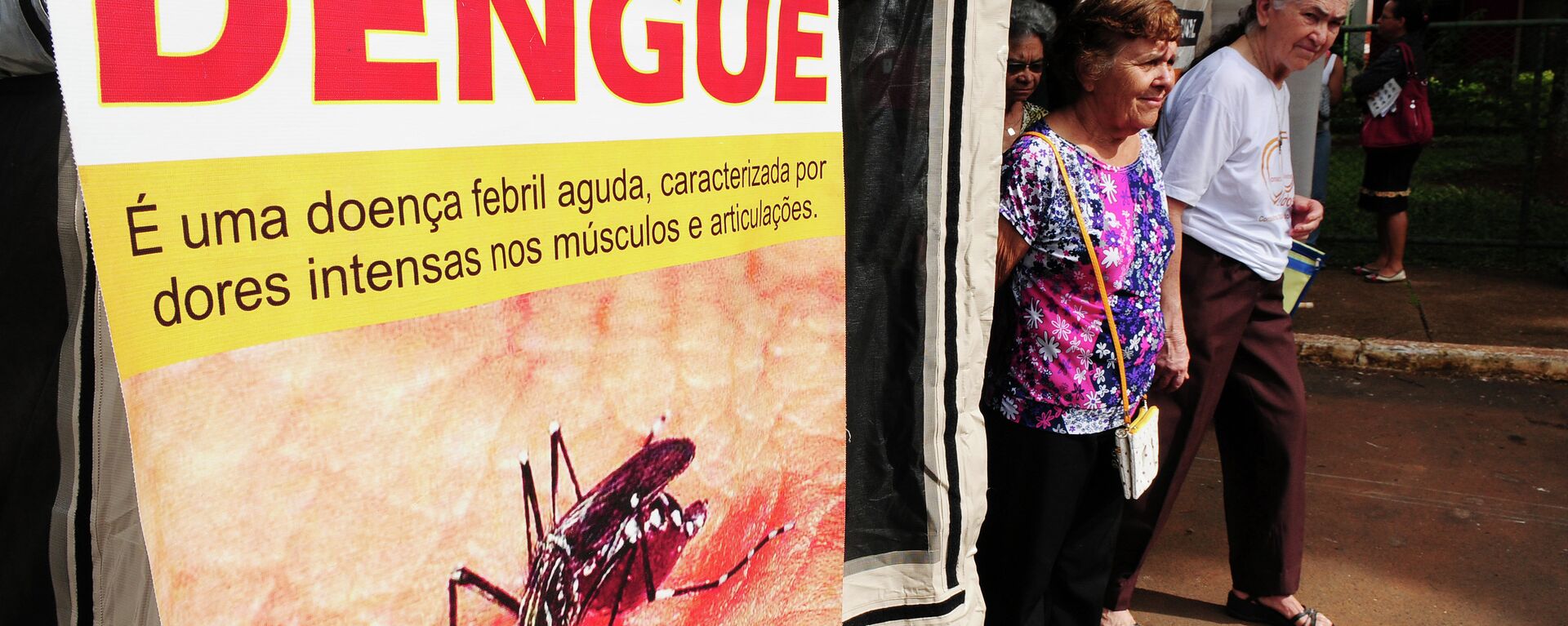 La lucha contra el dengue en Brasil - Sputnik Mundo, 1920, 05.02.2024