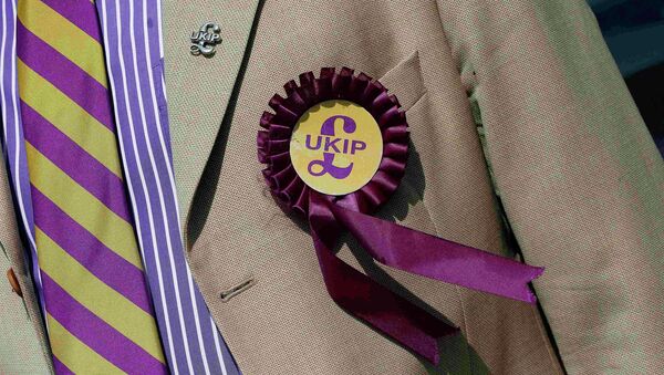 A supporter is seen wearing a United Kingdom Independence Party (UKIP) badge - Sputnik Mundo