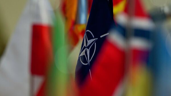 Eurodiputado dice que es preocupante que la OTAN ponga en la punta de mira a Sputnik y RT - Sputnik Mundo
