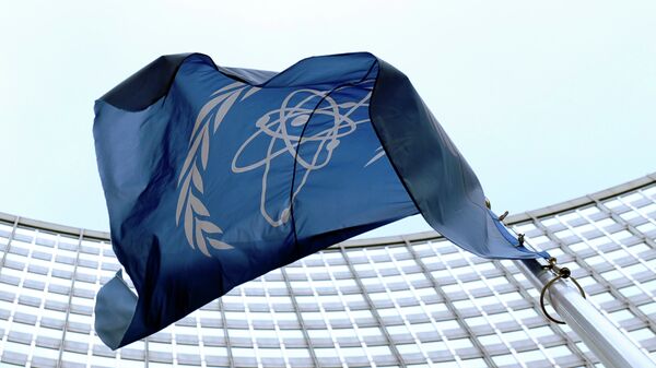 La bandera de OIEA - Sputnik Mundo