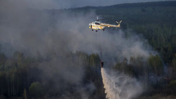Incendio forestal en la zona de Chernóbil, Ucrania (archivo) - Sputnik Mundo