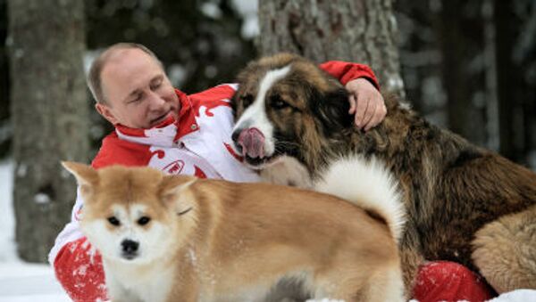 Vladímir Putin con sus perros (archivo) - Sputnik Mundo