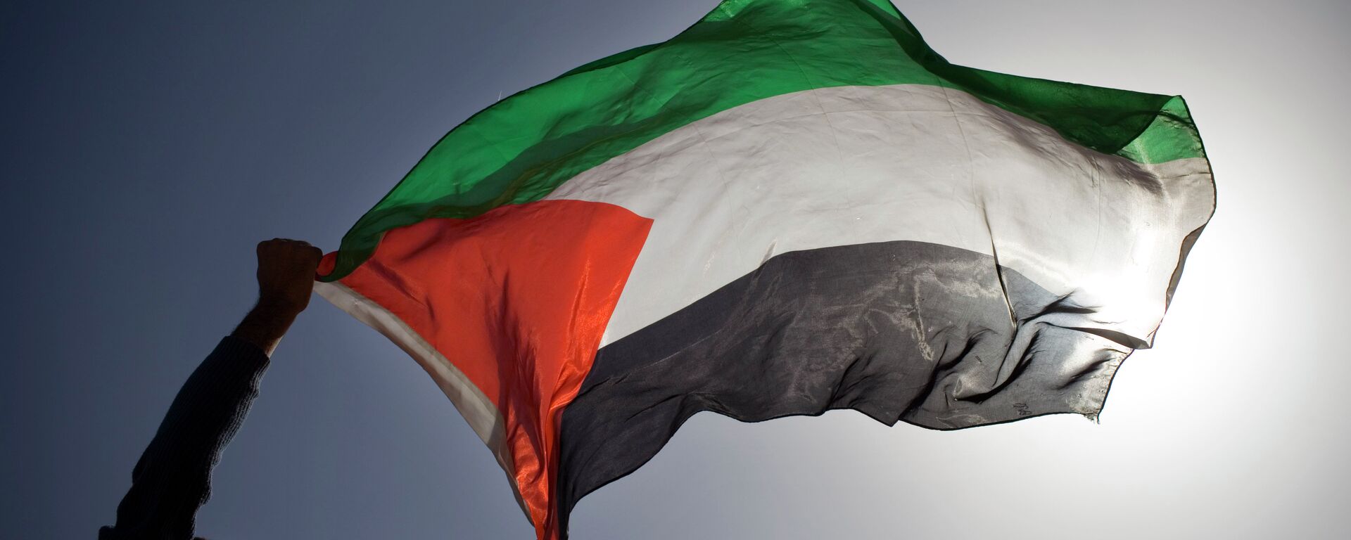 La bandera de Palestina - Sputnik Mundo, 1920, 24.11.2023