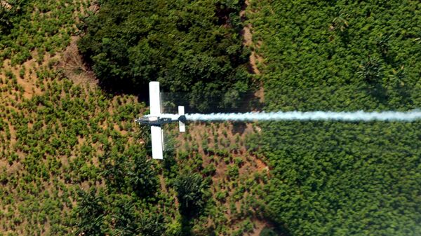 Fumigación de plantaciones de coca en Colombia (archivo) - Sputnik Mundo