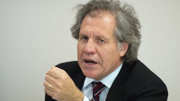 Uruguay's Minister of Foreign Affairs Luis Almagro announces his candidacy for the Organization of American States General Secretariat during a press conference at the Uruguay Embassy in Washington, DC, July 3, 2014 - Sputnik Mundo