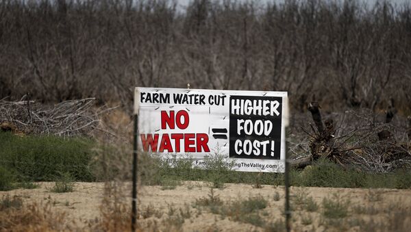 California sufre la más devastadora sequía desde hace cuatro años. 5 de mayo de 2015 - Sputnik Mundo