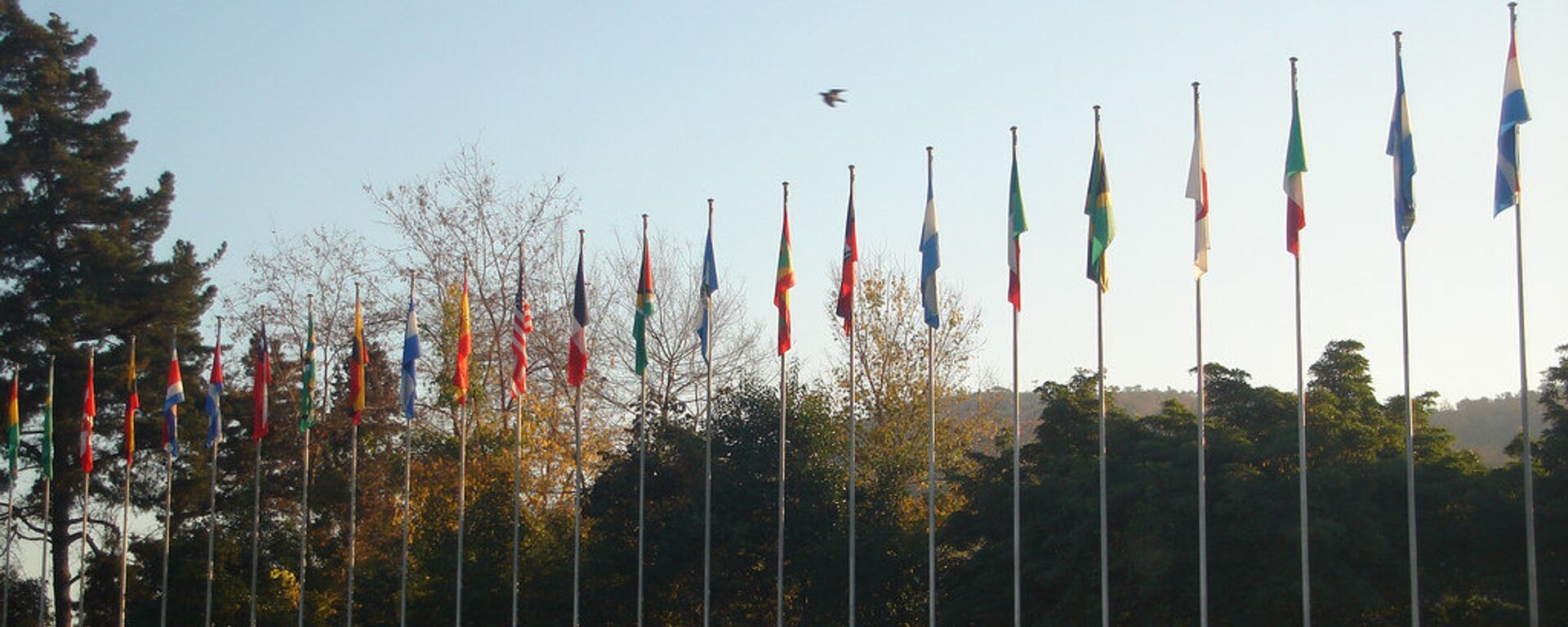 Banderas de la CEPAL - Sputnik Mundo, 1920, 19.10.2022