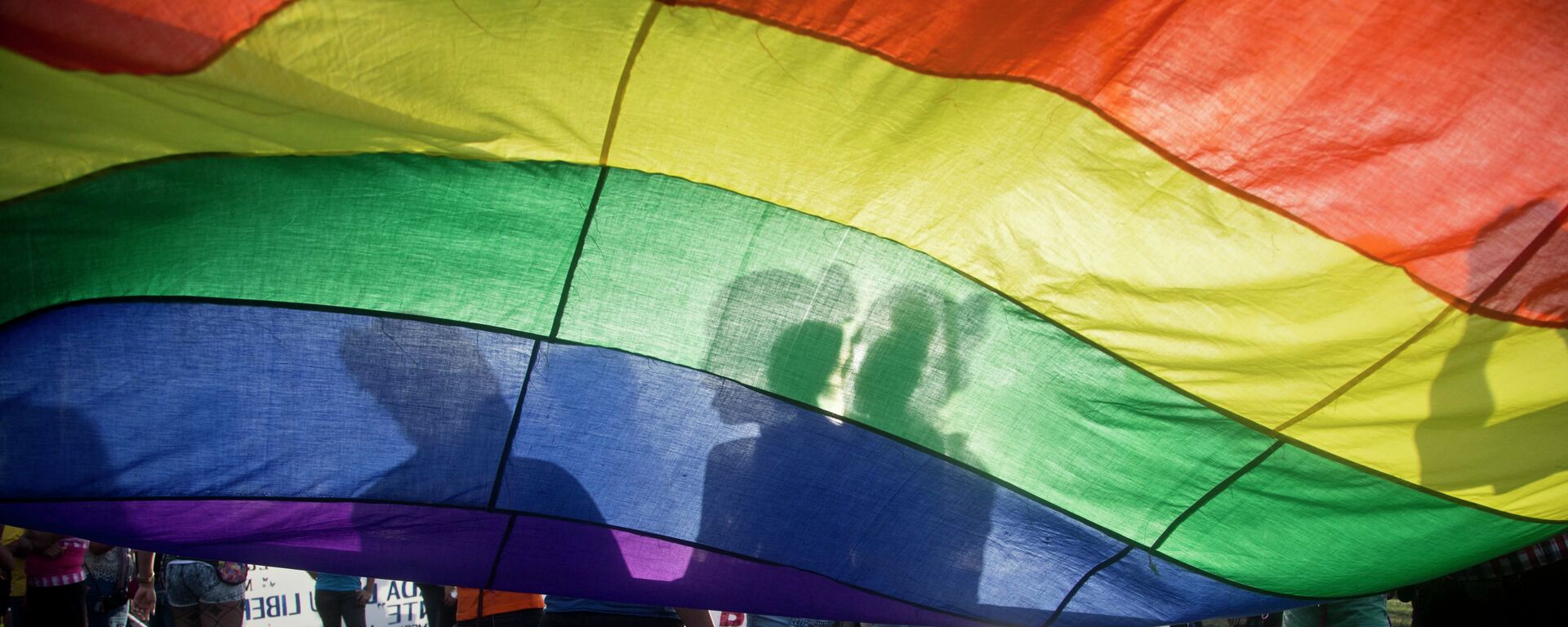 Members of the LGBT movement hold a gay pride flag as they attend a march to mark the International Day Against Homophobia in Managua, Nicaragua, Sunday, May 17, 2015. - Sputnik Mundo, 1920, 12.03.2021