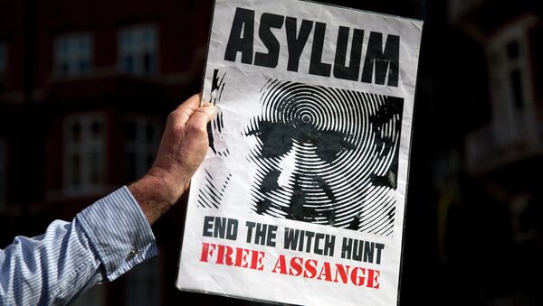 Wikileaks founder Julian Assange - Sputnik Mundo