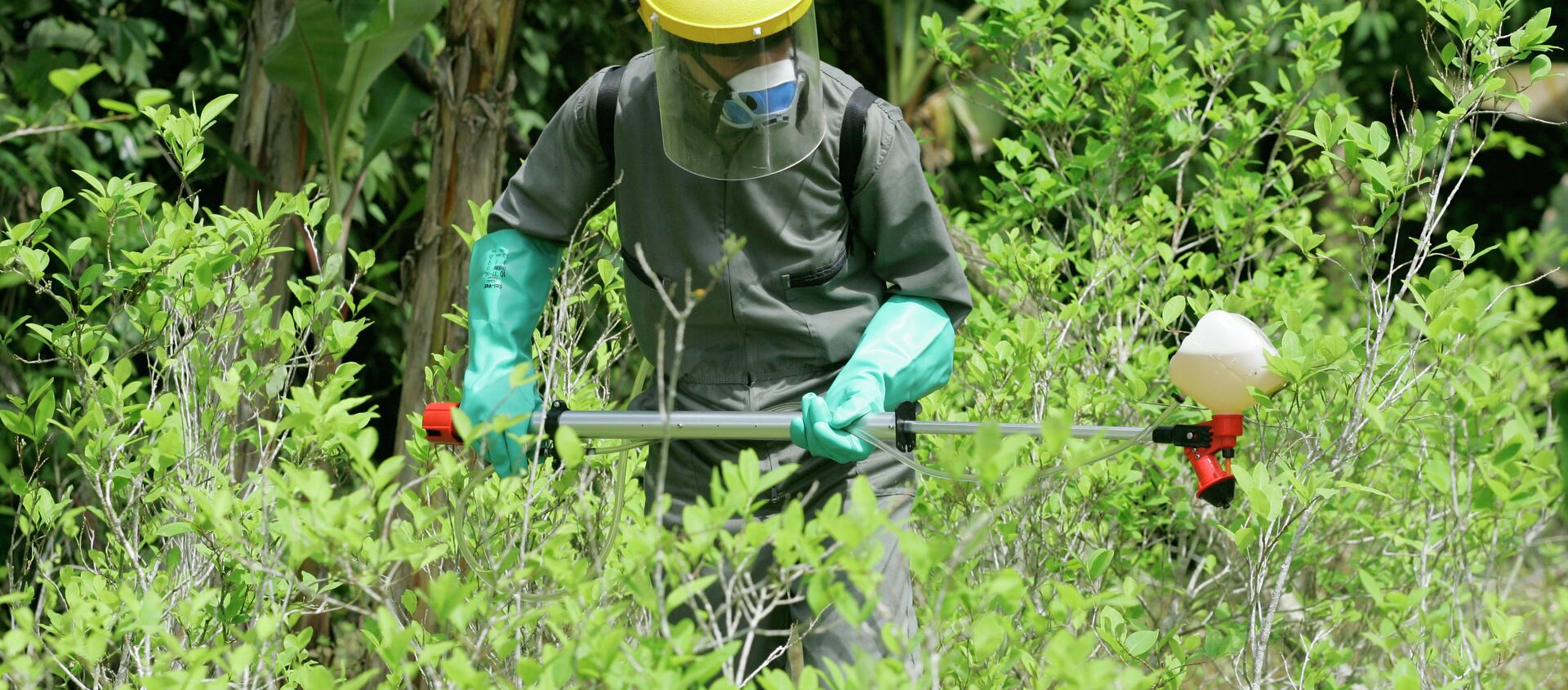 A counter-narcotics police officer sprays herbicide over a coca plant during a campaign to eradicate coca crops in La Espriella, southern Colombia. - Sputnik Mundo, 1920, 16.09.2020