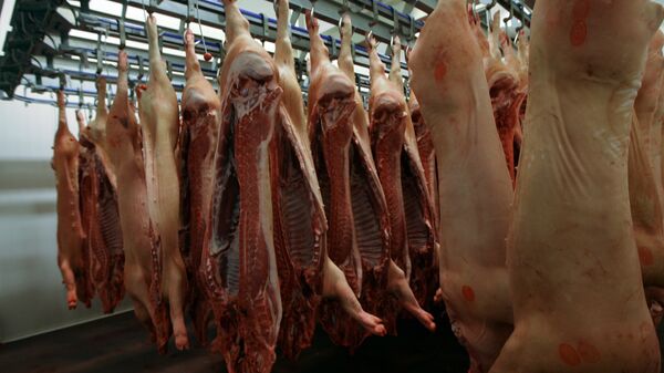 Las sanciones rusas dañan producción de carne de cerdo en Bélgica - Sputnik Mundo