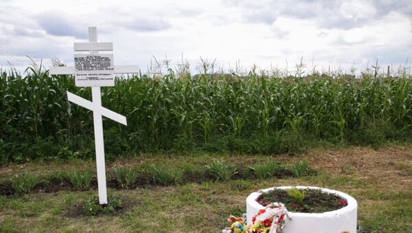 Lugar de la catástrofe del vuelo de MH17 en Ucrania - Sputnik Mundo