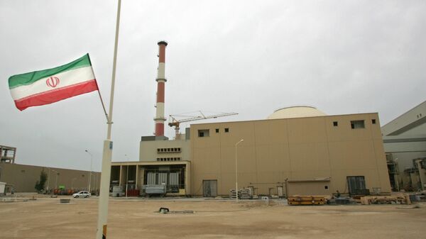 El reactor de la planta nuclear Bushehr - Sputnik Mundo