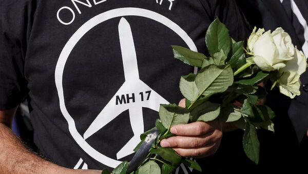 La ICAO creó base de datos sobre las zonas de conflicto por el MH17 - Sputnik Mundo