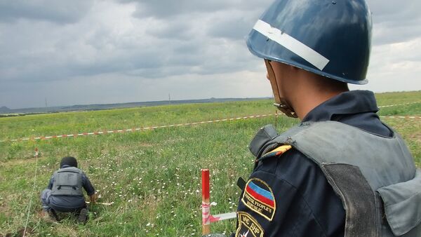 Milicias en el lugar del siniestro del MH17 en el este de Ucrania - Sputnik Mundo
